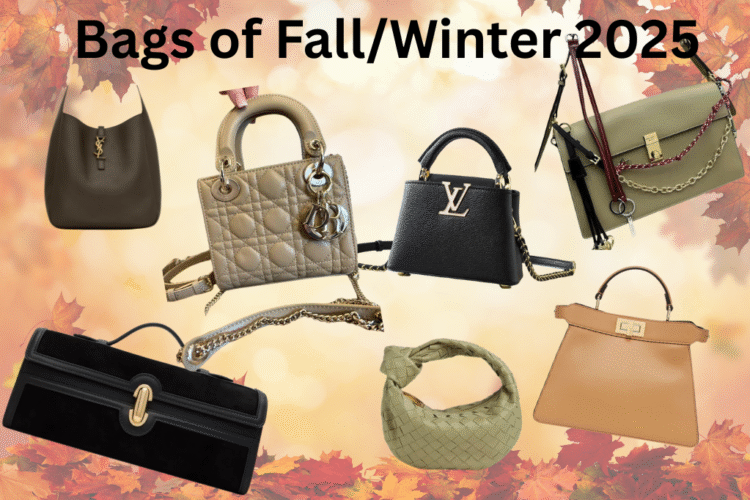Popular Winter/Fall Bags for 2025
