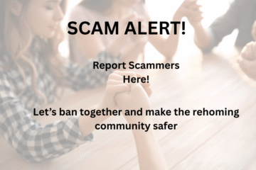 Scammer Alert
